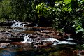 Cascades (20)